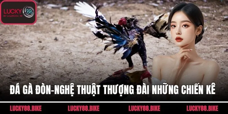 đá gà đòn